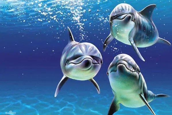 极度十大濒危动物排行榜：第一名产于中国如今几乎灭绝