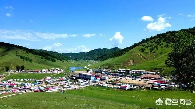 天水有哪些主要景点？