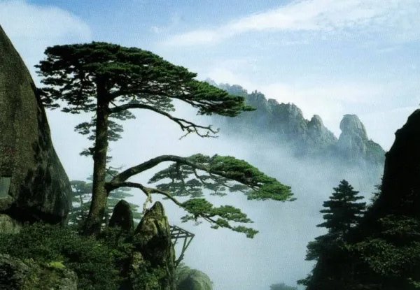 黄山门票优惠政策