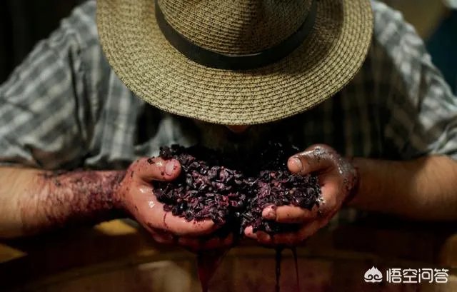 如何酿酒才能酿出想要的度数？