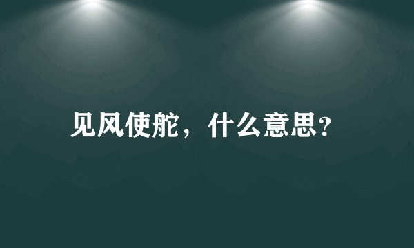 见风使舵，什么意思？