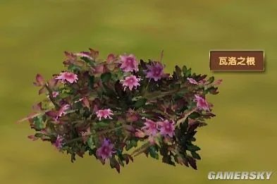 《模拟人生：中世纪》草药种类及分布图