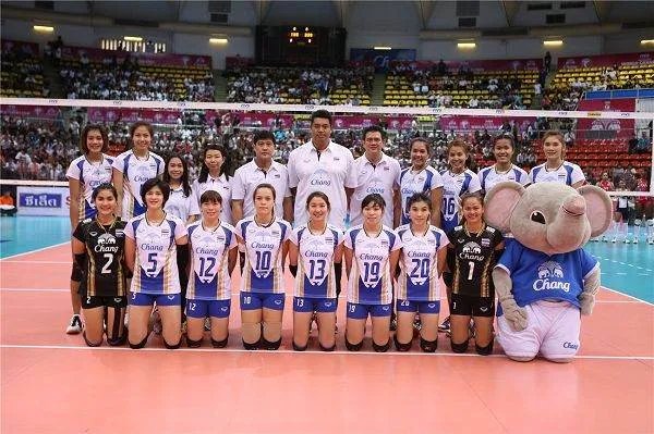 河南女排的主要成绩