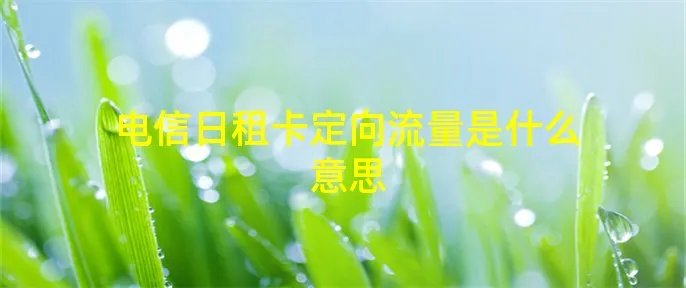 电信日租卡定向流量是什么意思