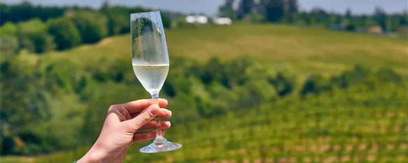 干白葡萄酒怎么喝 如何喝干白葡萄酒