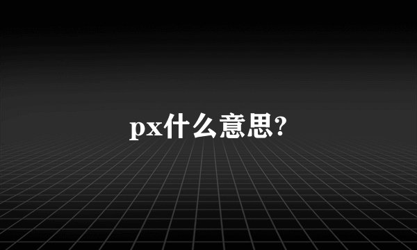 px什么意思?