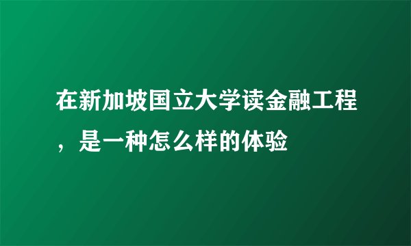 在新加坡国立大学读金融工程，是一种怎么样的体验