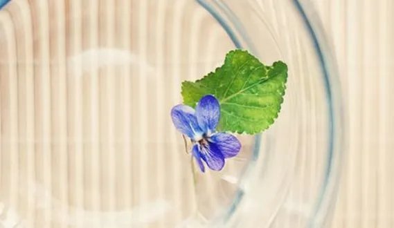 懵懂是什么意思