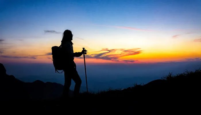 驴友的意思 驴友指的是什么