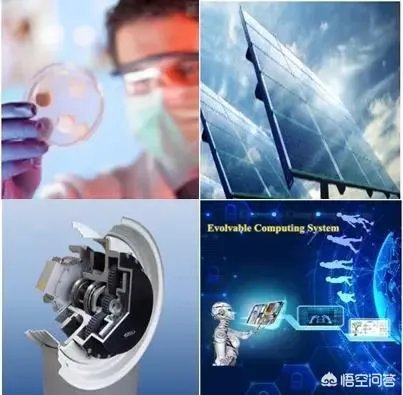 南方科技大学怎么样？