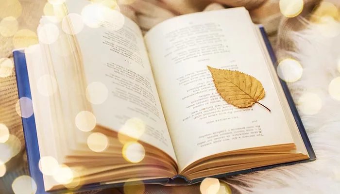 空空如也的也是什么意思