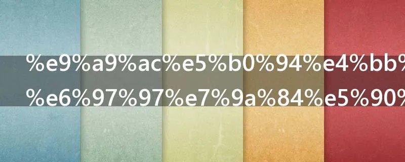 马尔代夫国旗的含义