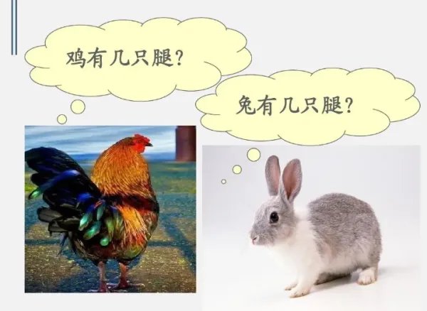 鸡兔同笼假设法解题步骤