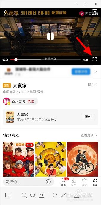 大赢家在线观看免费完整版