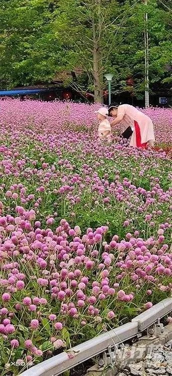 vivox50多少钱_vivo x50价格是多少