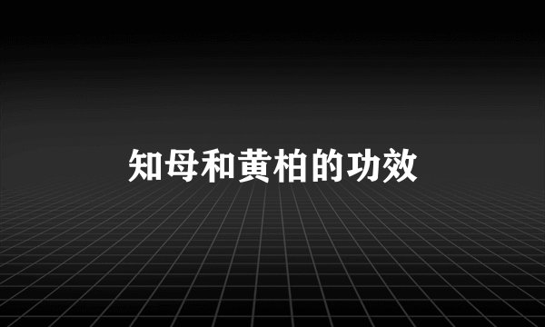知母和黄柏的功效