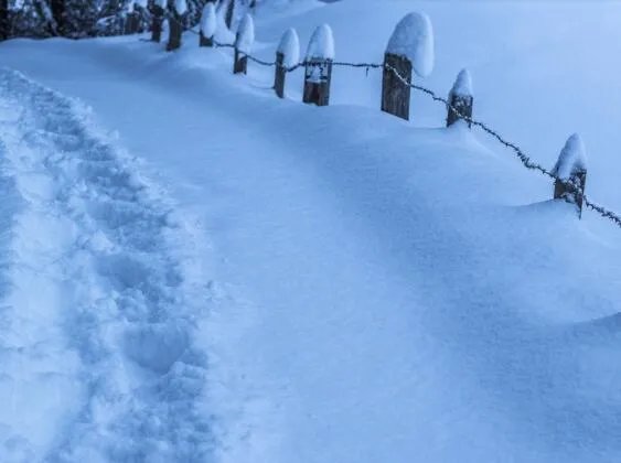 暴雪黄色预警信号代表什么 什么情况下发出暴雪黄色预警
