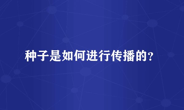 种子是如何进行传播的？