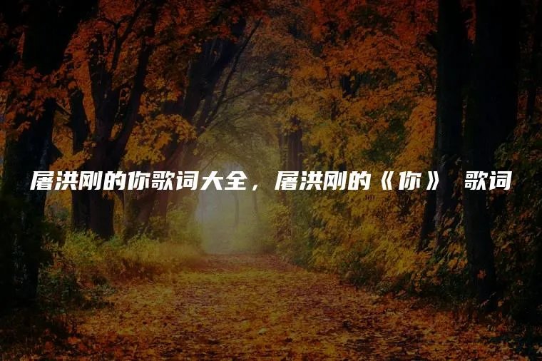 屠洪刚的你歌词大全，屠洪刚的《你》 歌词