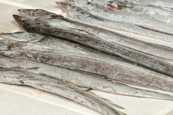 舟山有什么特产海鲜 舟山海鲜特产有哪些