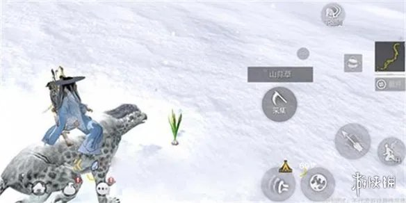 《妄想山海》山蒜在哪里 山蒜位置介绍