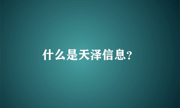 什么是天泽信息？