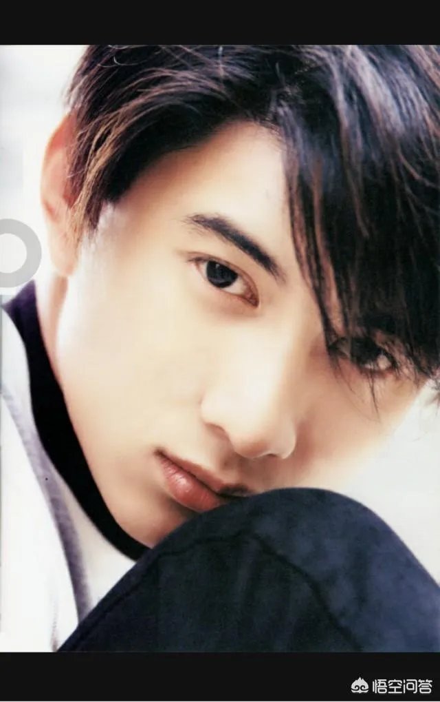 刘亦菲版的《神雕侠侣》，谁最合适演少年杨过和后来的杨过？