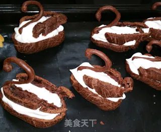 家族的秘密---黑天鹅与白天鹅(BLACK SWAN AND WHITE SWAN)