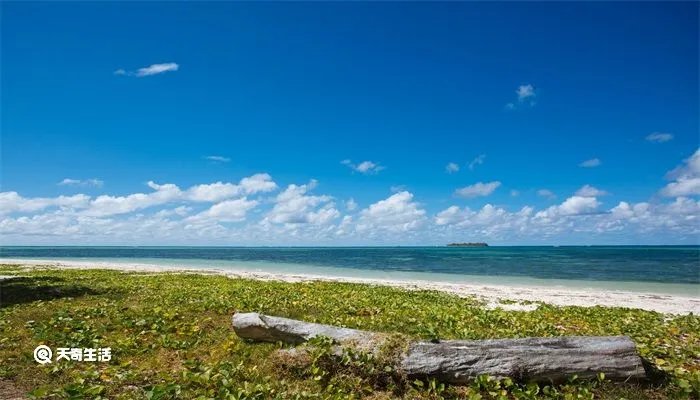 otocicgalesnjak在哪个国家