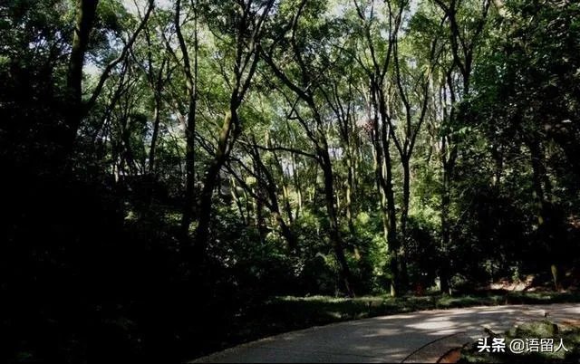 小溪泛尽却山行的“却”是什么意思？