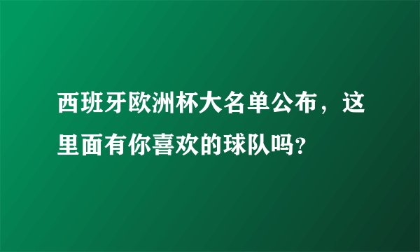 西班牙欧洲杯大名单公布，这里面有你喜欢的球队吗？