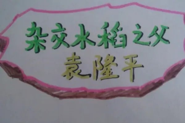 袁隆平手抄报怎么画图片大全