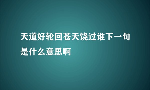 天道好轮回苍天饶过谁下一句是什么意思啊
