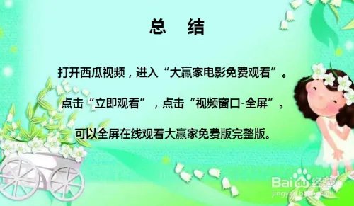 大赢家在线观看免费完整版