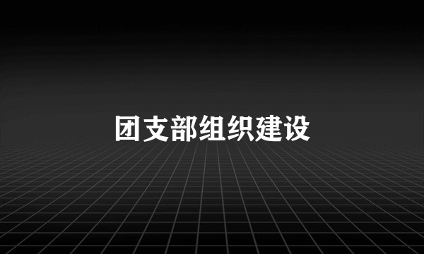 团支部组织建设