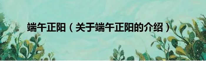 端午正阳（关于端午正阳的介绍）