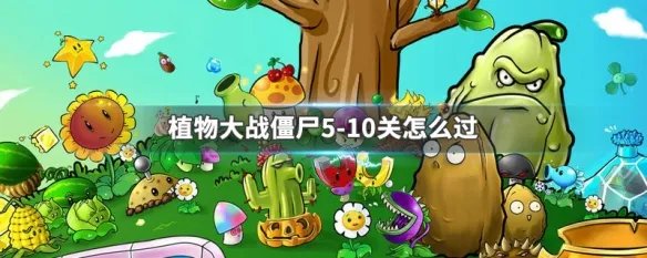 植物大战僵尸5-10关怎么过