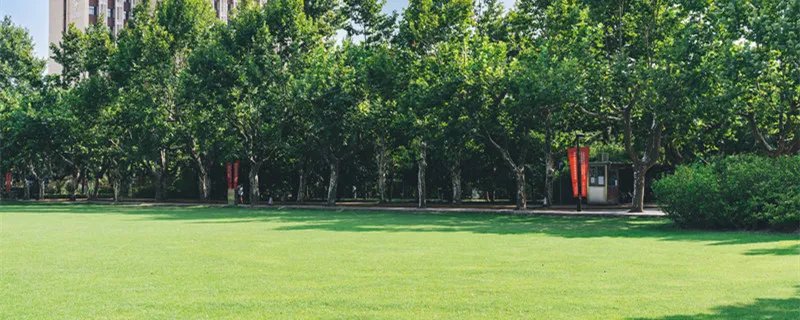 上海震旦职业技术学院是大专吗