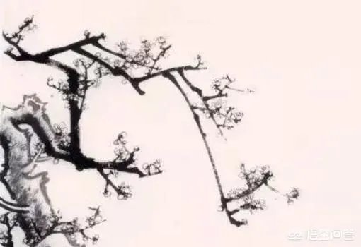 国画梅花图解教程？