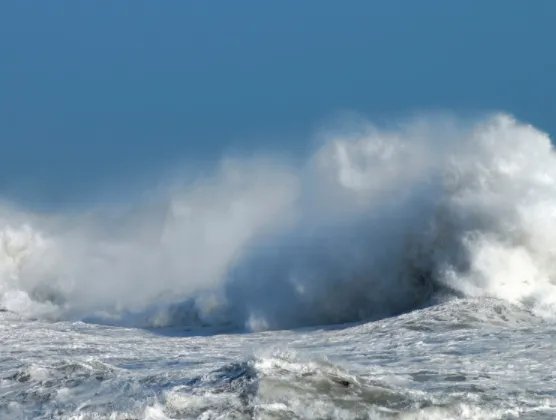 上海有5人被海浪卷走了，他们究竟是被如何卷走的？