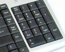 植物大战僵尸修改器怎么用啊