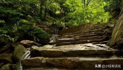 小溪泛尽却山行的“却”是什么意思？