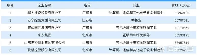 中国最大的私人企业？