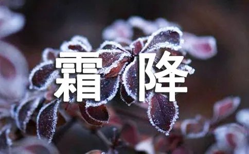 霜降诗句