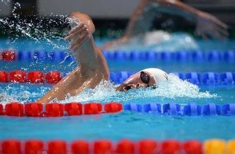 怎么学习自由游？