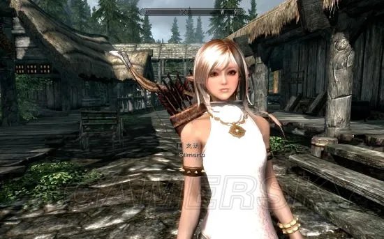 《上古卷轴5》强制结婚代码及使用方法 上古卷轴5怎么强制结婚