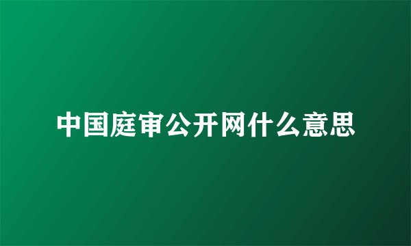 中国庭审公开网什么意思