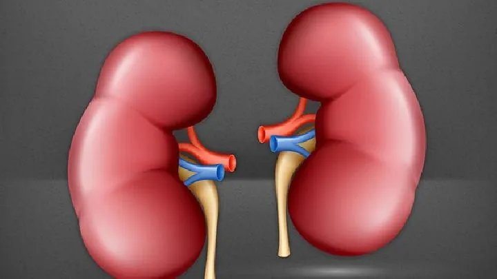 肾结石的早期症状有哪些呢