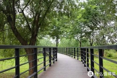 阳澄湖景区游玩攻略 阳澄湖莲花岛全攻略