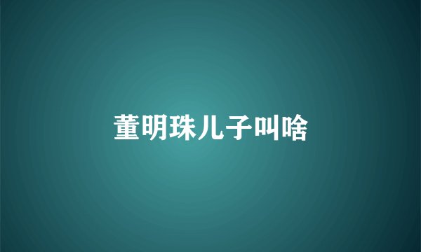 董明珠儿子叫啥